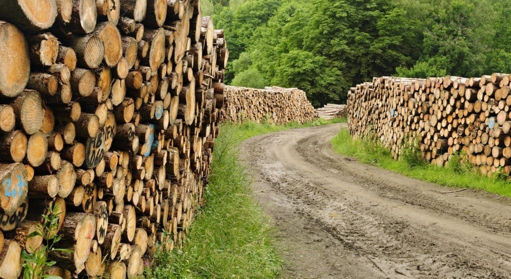 lumbermills Texas Refinery Of Canada Limited