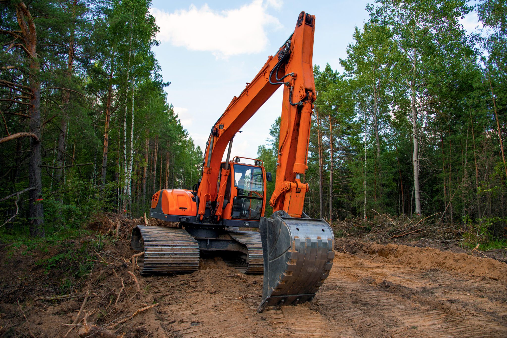 Excavator Clearing Forest For New Development Orange Backhoe Modified For Forestry Work